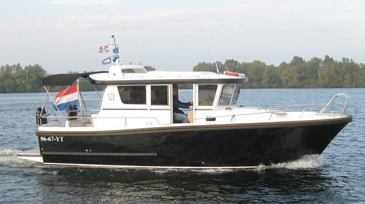 Minor Sargo 31