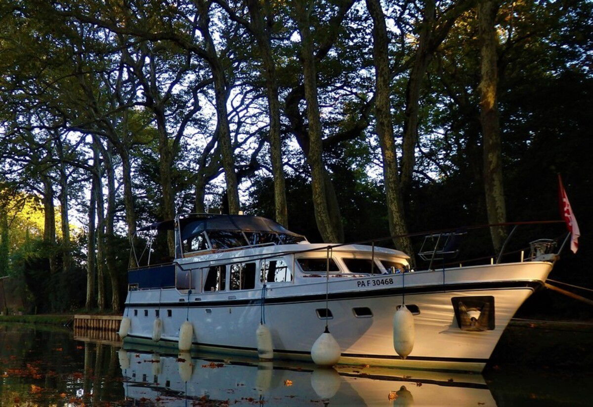 Mulder Favorite 14.95